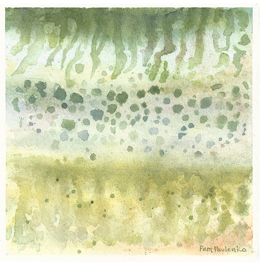 Muskellunge Colour Mashup | Original Watercolour Painting - Original Watercolour Art by Canadian Artist Pamela Paulenko, painting Ontario wildlife