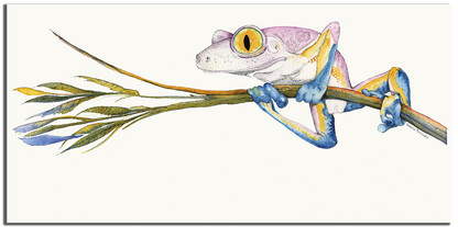 Pink Leopard Tree Frog  -   Limited Edition Giglee  21" x 10.5" - Original Watercolour Art by Canadian Artist Pamela Paulenko, painting Ontario wildlife