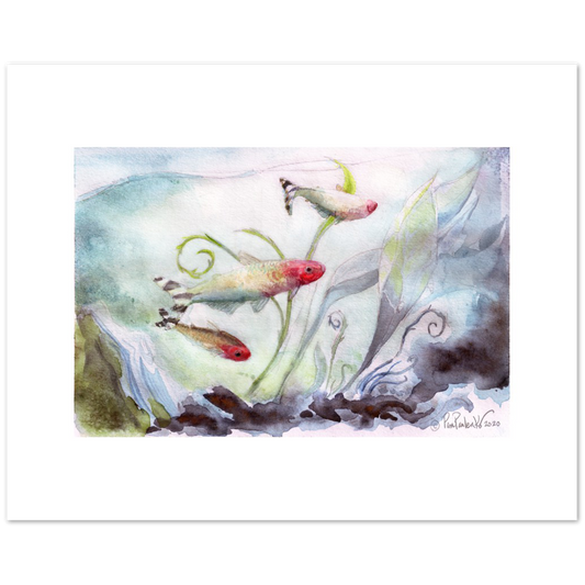 Rummynose Tetras Classic Matte Paper Poster - Original Watercolour Art by Canadian Artist Pamela Paulenko, painting Ontario wildlife